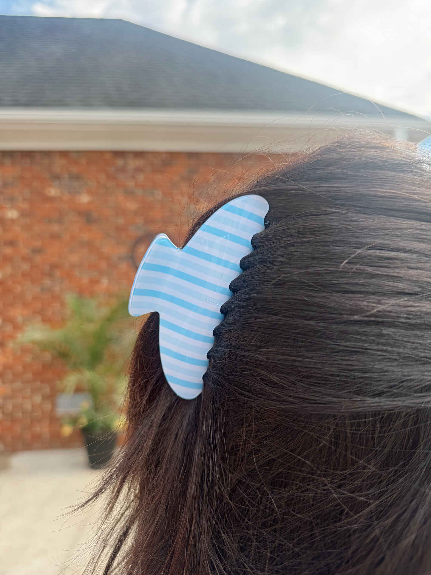 Carolina Claw Clip - RESTOCK